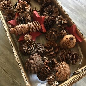 Pottery barn pinecone garland 5’ new holiday
